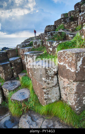 Tourist sulla Giant's Causeway nella contea di Antrim, Irlanda del Nord Foto Stock