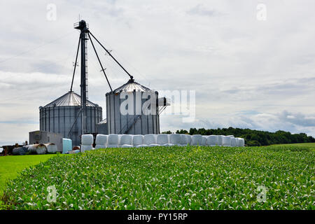 Silos per il grano nel paesaggio rurale di appartamento di terreni agricoli nella regione dei Laghi Finger dello stato di New York vicino a Bloomfield, Stati Uniti d'America Foto Stock