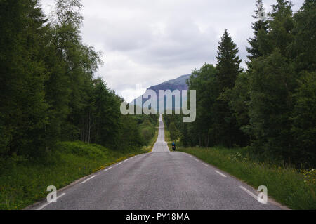 N bike ciclista a cavallo, lungo una strada di campagna; chiara giornata estiva, Norvegia imballaggio bici Foto Stock