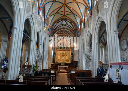 Ottery St Mary Church Foto Stock