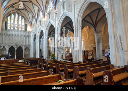 Ottery St Mary Church Foto Stock