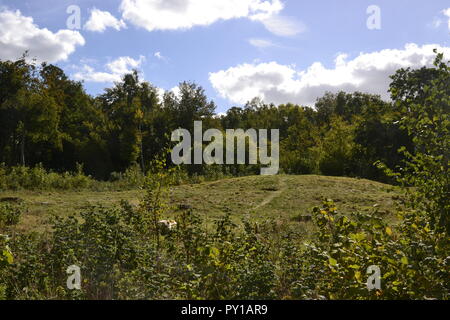 Cursus carriole. Antichi tumuli o tumuli in Stonehenge Cursus sul paesaggio di Stonehenge, Wiltshire, Inghilterra, Regno Unito Foto Stock