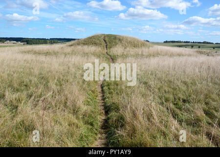 Cursus carriole. Antichi tumuli o tumuli in Stonehenge Cursus sul paesaggio di Stonehenge, Wiltshire, Inghilterra, Regno Unito Foto Stock