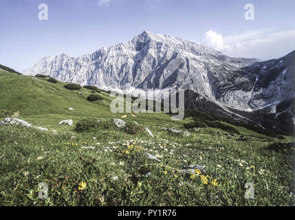 Bergwiese Karwendelgebirge vor, Speckkarspitze, Tirol, Oesterreich Foto Stock