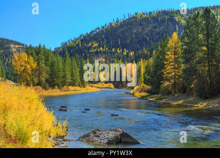 I colori dell'autunno lungo il blackfoot in prossimità del fiume Potomac, montana Foto Stock