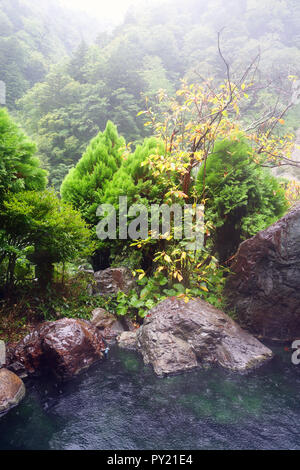 La cottura a vapore caldo rotenburo (bagno esterno) sotto la pioggia, Sakamaki Onsen Ryokan, Prefettura di Nagano, Matsumoto, Honshu, Giappone. N. PR Foto Stock