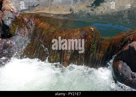 Natural spa Piscina a Walter Waterhole, Koolmoon Creek via, Misty Mountains, Wooroonooran National Park, Tully Gorge National Park e Tully cade N Foto Stock