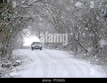 Fari abbaglianti sulla guida attraverso la caduta di neve sulla strada di campagna coperta di neve tunnel di alberi bosco scena alberi innevati bad inverno meteo Essex England Regno Unito Foto Stock