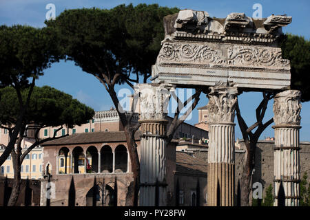 I tre sopravvissuti di colonne corinzie del Tempio di Venere Genitrice nei fori imperiali nel centro di Roma nel sole del tardo pomeriggio. Foto Stock