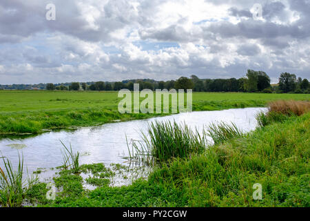 Vista sulla piana di Norfolk wetland habitat con nuvole sul tipico inglese nella tarda estate del giorno, Earsham, Norfolk, Regno Unito Foto Stock