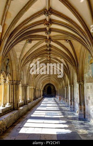 Chiostri illuminate dalla luce del sole a Norwich Cathedral, Norfolk, Inghilterra, Regno Unito Foto Stock