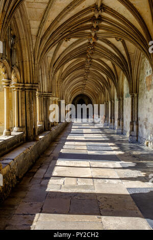 Chiostri illuminate dalla luce del sole a Norwich Cathedral. Norfolk, Inghilterra, Regno Unito Foto Stock