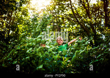 Ritratto di un ragazzo seduto in un albero, Stati Uniti Foto Stock