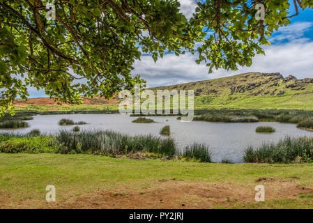 Cratere del Rano Raraku vulcano con lago sotterraneo e moai Foto Stock