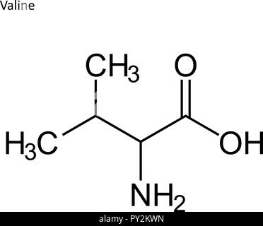 Formula di scheletro. Amminoacido molecola Illustrazione Vettoriale