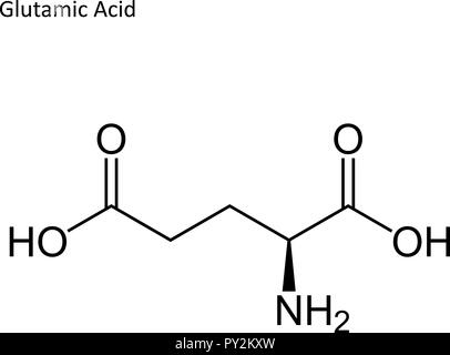 Formula di scheletro. Amminoacido molecola Illustrazione Vettoriale