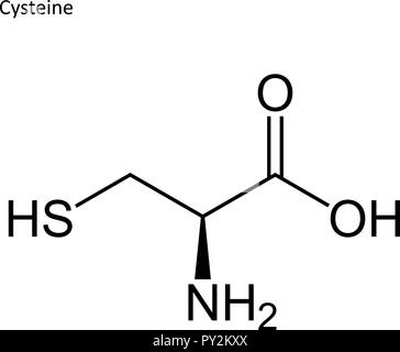 Formula di scheletro. Amminoacido molecola Illustrazione Vettoriale