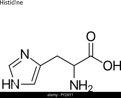 Formula di scheletro. Amminoacido molecola Illustrazione Vettoriale