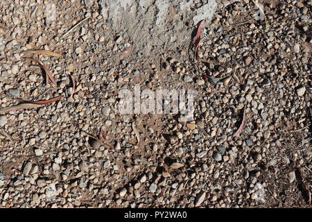 Ingombro a terra Texture da erba e calcestruzzo di sabbia, bastoni e SPerfect decorazione per videogiochi, segni, visual design e di più! Foto Stock