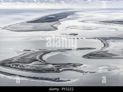 Wattenmeer, Borkum, Juist, Niedersachsen, BRD Foto Stock