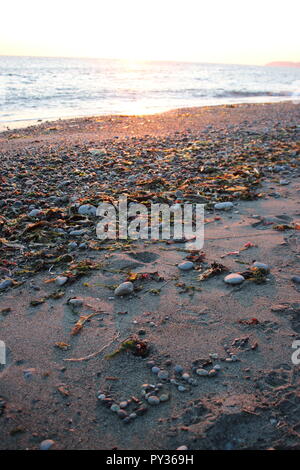 Messaggio di avviso sulla spiaggia a riva Foto Stock