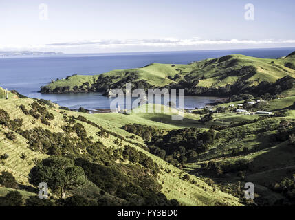 Neuseeland, Nordinsel, Halbinsel Coromandel Foto Stock