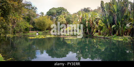 Frate Leandro lago a Jardim Botanico Giardino Botanico - Rio de Janeiro, Brasile Foto Stock