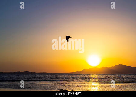 Bella colorato tramonto sul mar Rosso. Tramonto egiziano Foto Stock