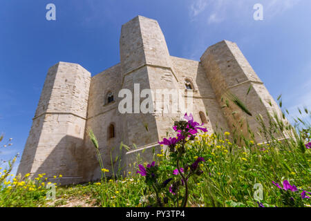 L'Italia, Puglia, Andria, Castel del Monte Foto Stock