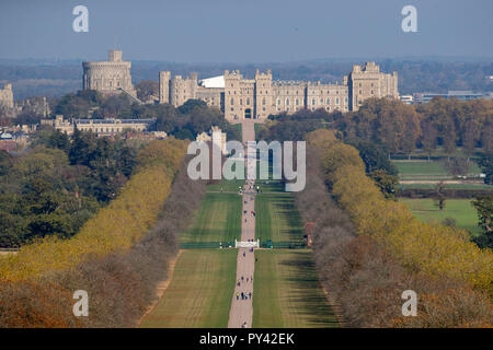 Alberi lungo la lunga passeggiata al Castello di Windsor, Berkshire, che hanno cominciato a cambiare colore per l'autunno. Foto Stock