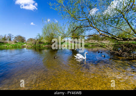 Bella Dedham vale in Essex, famoso per John Constable il famoso pittore, conosciuto anche come Constable Country, Foto Stock