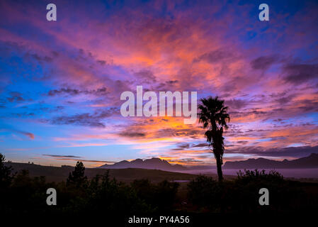 Il tramonto del vino terre di Stellenbosch, Città del Capo, Sud Africa Foto Stock