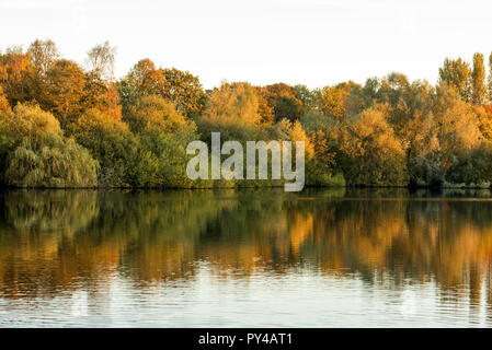 Autunno riflessioni a Colwick Country Park in NOTTINGHAM, NOTTINGHAMSHIRE REGNO UNITO Inghilterra Foto Stock