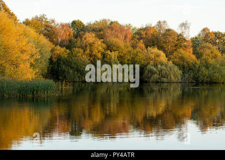 Autunno riflessioni a Colwick Country Park in NOTTINGHAM, NOTTINGHAMSHIRE REGNO UNITO Inghilterra Foto Stock