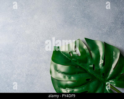 Foglia di monstera sulla pietra grigia sullo sfondo. Pianta tropicale monstera in hard light. Copia spazio per il testo. Layout creativi foglie di monstera decorazione per il design di composizione, sfondo Foto Stock