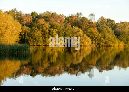 Autunno riflessioni a Colwick Country Park in NOTTINGHAM, NOTTINGHAMSHIRE REGNO UNITO Inghilterra Foto Stock