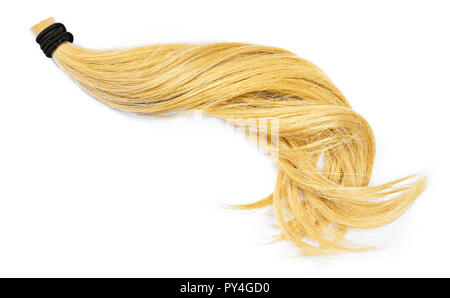 Bellissimi capelli biondi, isolato su sfondo bianco. Lunghi capelli biondi di coda e capelli sani, elemento di design o taglio di capelli tema. Foto Stock