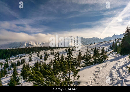 Paesaggio invernale in polacco monti Tatra. Foto Stock