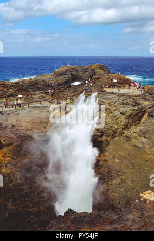 L'immagine verticale di Kiama Blowhole nel Nuovo Galles del Sud, Australia Foto Stock