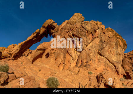 Elephant Rock della Valle di Fire State Park - Nevada Foto Stock