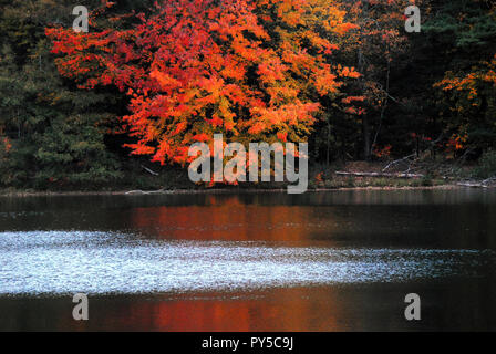 Splendidamente colorate Foglie di autunno riflesso in un lago nel Connecticut, Stati Uniti d'America Foto Stock