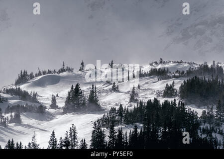 Grave tempesta invernale nelle Montagne Rocciose, Colorado Foto Stock