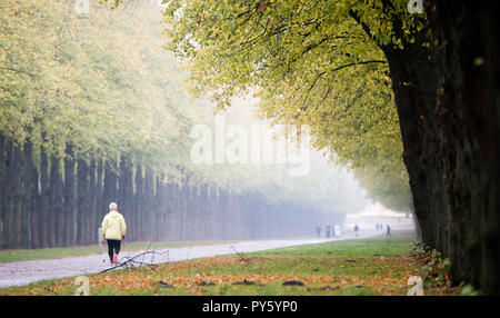Hannover, Germania. 26 ott 2018. Una donna cammina con nord bastoni attraverso l'Herrenhäuser Allee. Credito: Julian Stratenschulte/dpa/Alamy Live News Foto Stock