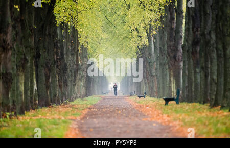 Hannover, Germania. 26 ott 2018. Una donna cammina attraverso l'Herrenhäuser Allee in un'atmosfera d'autunno. Credito: Julian Stratenschulte/dpa/Alamy Live News Foto Stock