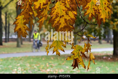 Hannover, Germania. 26 ott 2018. Un ciclista con un giubbotto di avvertimento unità dietro le foglie che hanno cambiato colore in autunno. Credito: Julian Stratenschulte/dpa/Alamy Live News Foto Stock