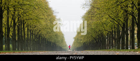 Hannover, Germania. 26 ott 2018. Una donna in giacca rossa jogging attraverso l'Herrenhäuser Allee. Credito: Julian Stratenschulte/dpa/Alamy Live News Foto Stock