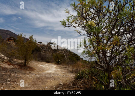 Hierve el Agua Foto Stock