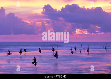 I pescatori su palafitte in silhouette al tramonto a Galle, Sri Lanka Foto Stock