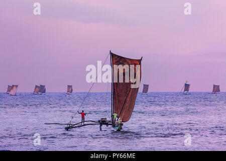 Barche da pesca al sunrise a Negombo, Sri Lanka Foto Stock