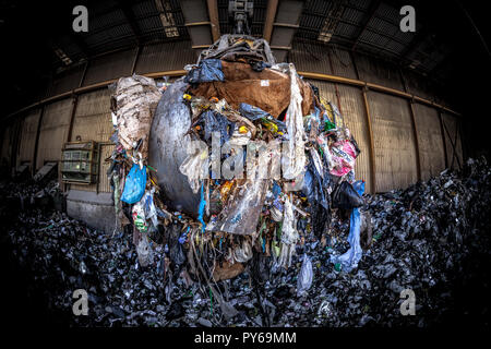 Misto comunale della gestione dei rifiuti solidi Foto Stock